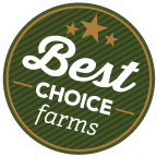 bestchoiceicon 2x2